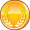 race winner